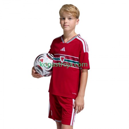 Billiga Fotbollströjor Wales Barn Hemma tröja 2026 Kortärmad